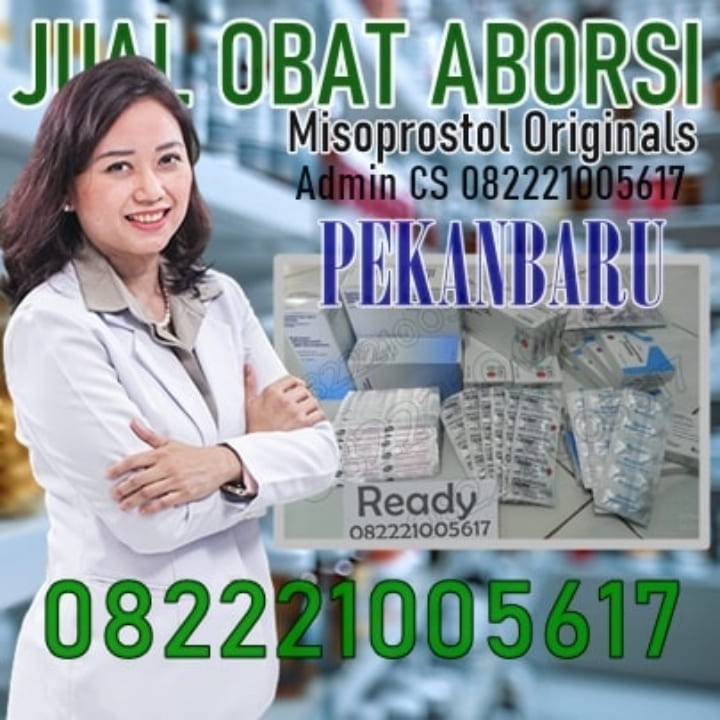 Jual Cytotec Pekanbaru 082221005617 Jual Obat Aborsi 100% Asli Cytotec Termanjur